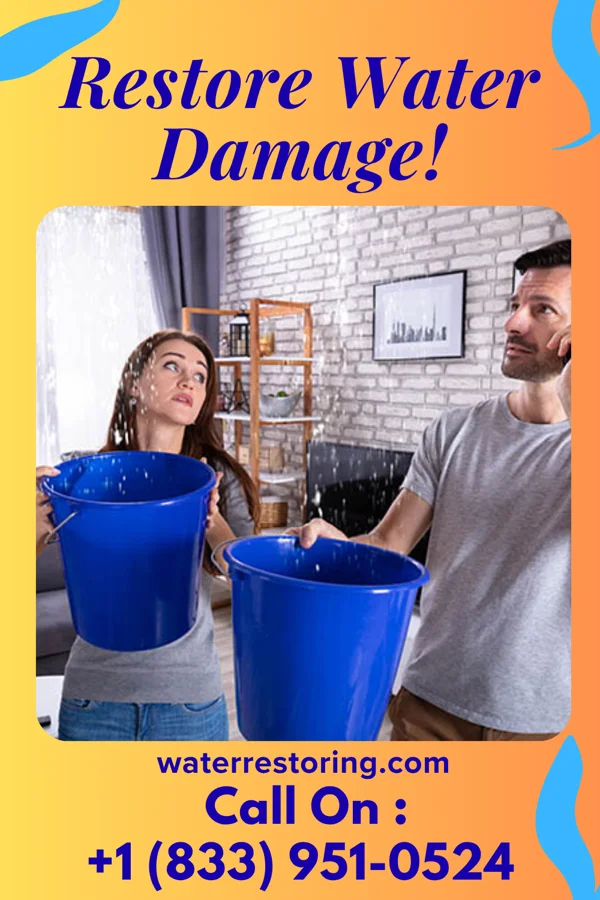 water restoration Horizon Sewage Cleanup Authority Tomah
