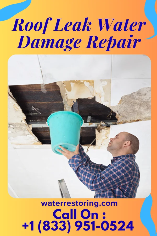 Roof Leak Water Damage Repair in Tomah, WI